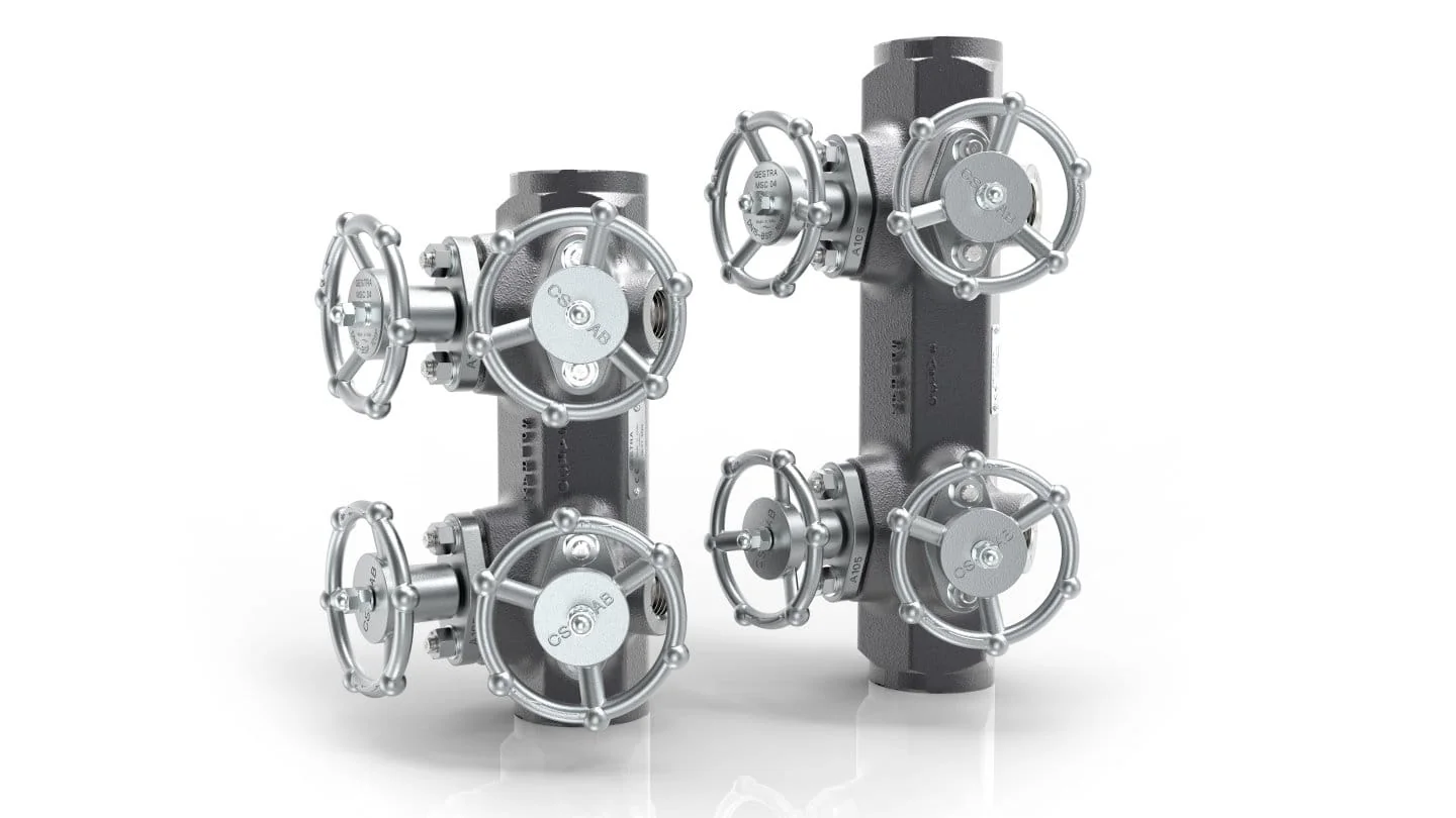 Cụm góp GMF (Manifolds)